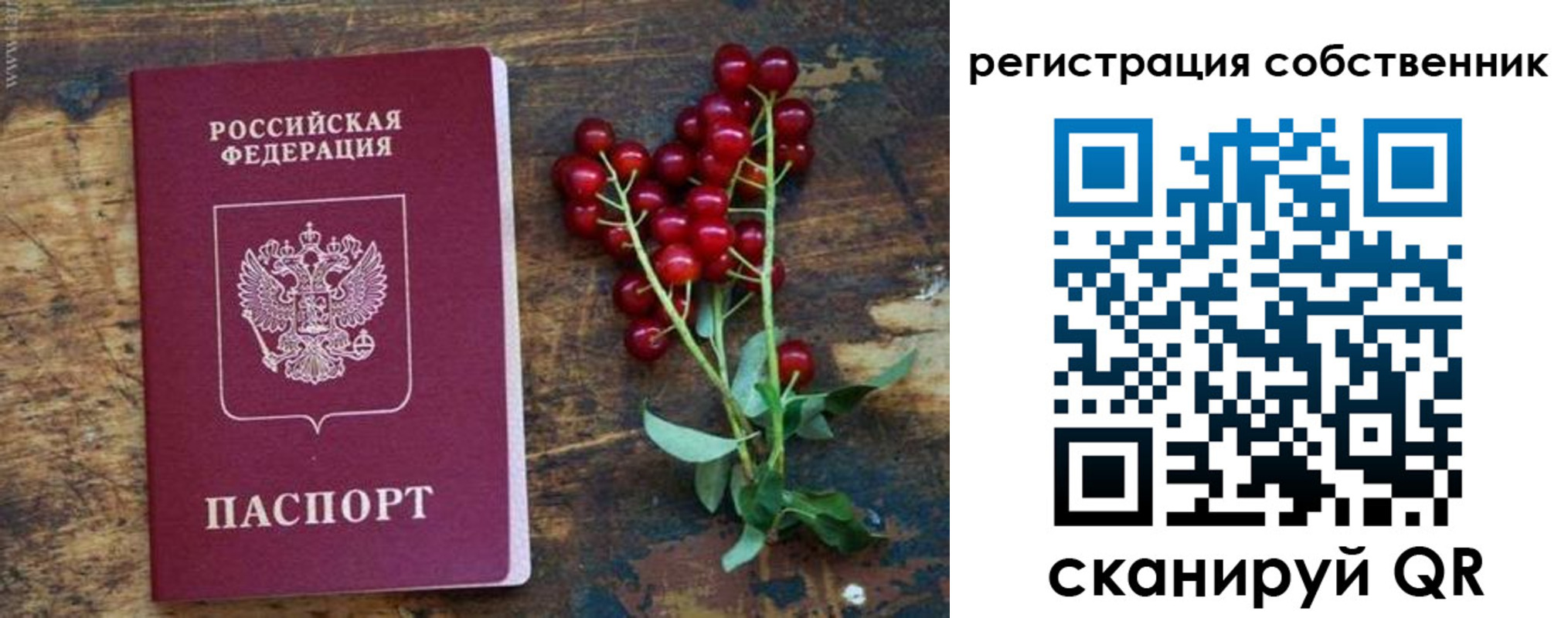 регистрация для дет. сада в Ельце